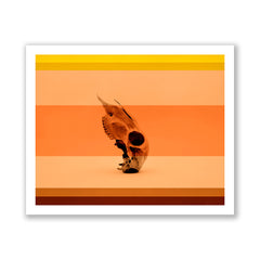 Coral & Bone II