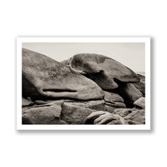 The Shark, Perros-Guirec