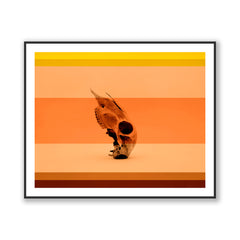 Coral & Bone II