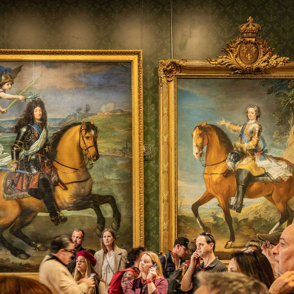 King Louis XIV at Namur