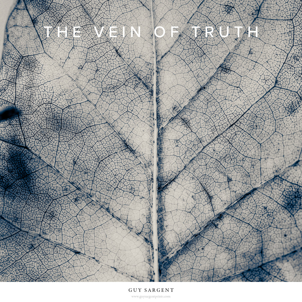 The Vein of Truth II