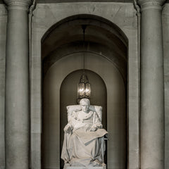 Napoleon at Versailles