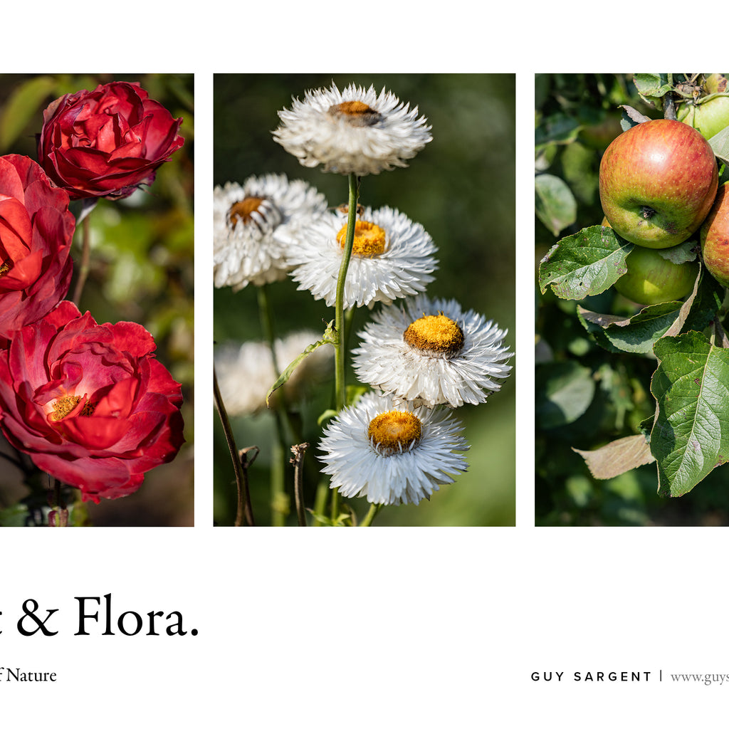 Fruit & Flora