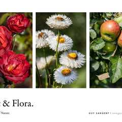 Fruit & Flora
