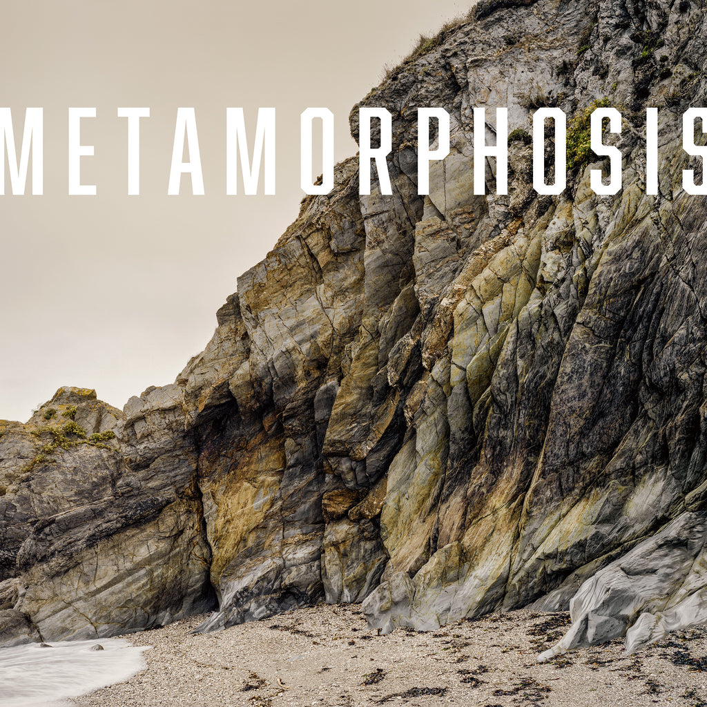 The Metamorphosis