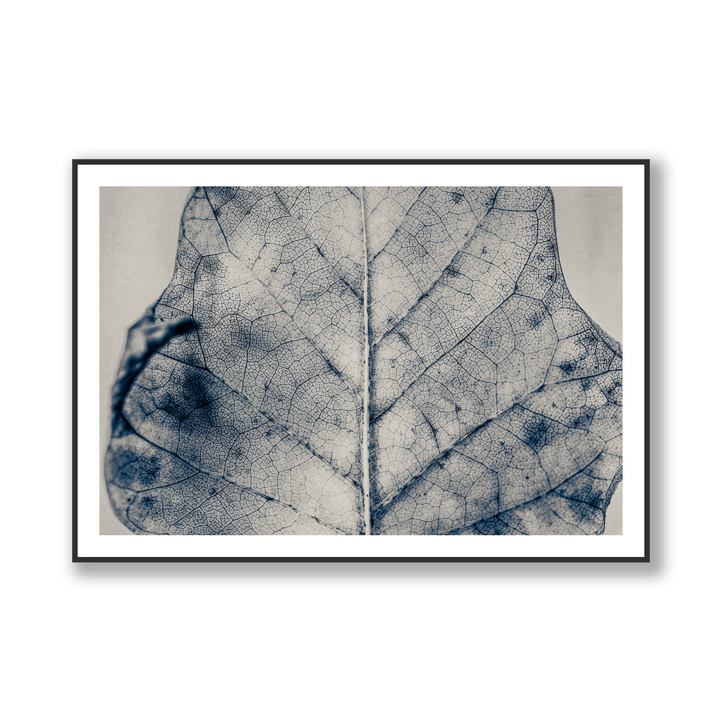 The Vein of Truth