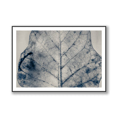 The Vein of Truth