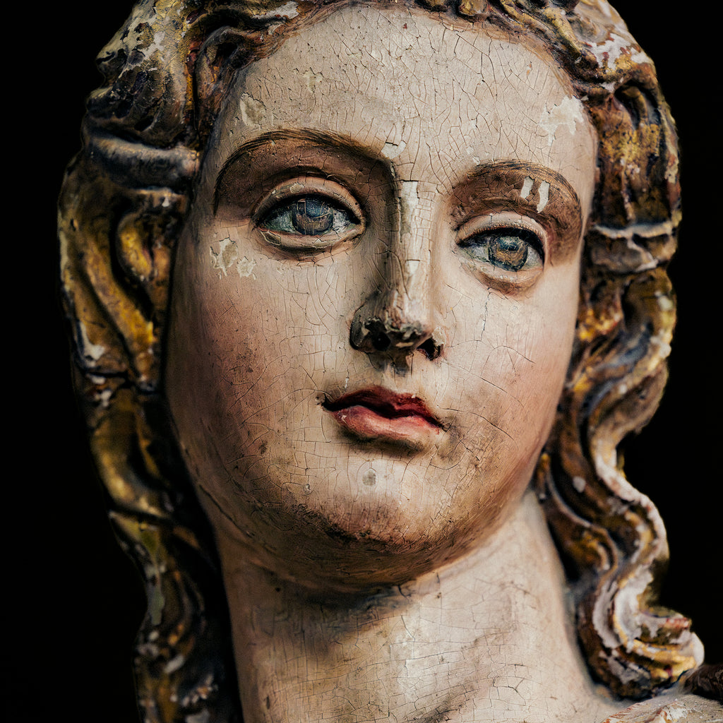 Anthropologie II