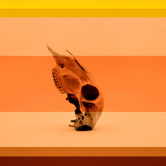 Coral & Bone II