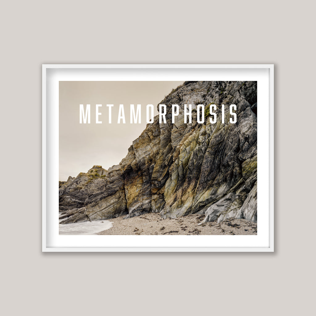 The Metamorphosis