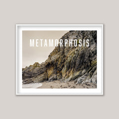 The Metamorphosis