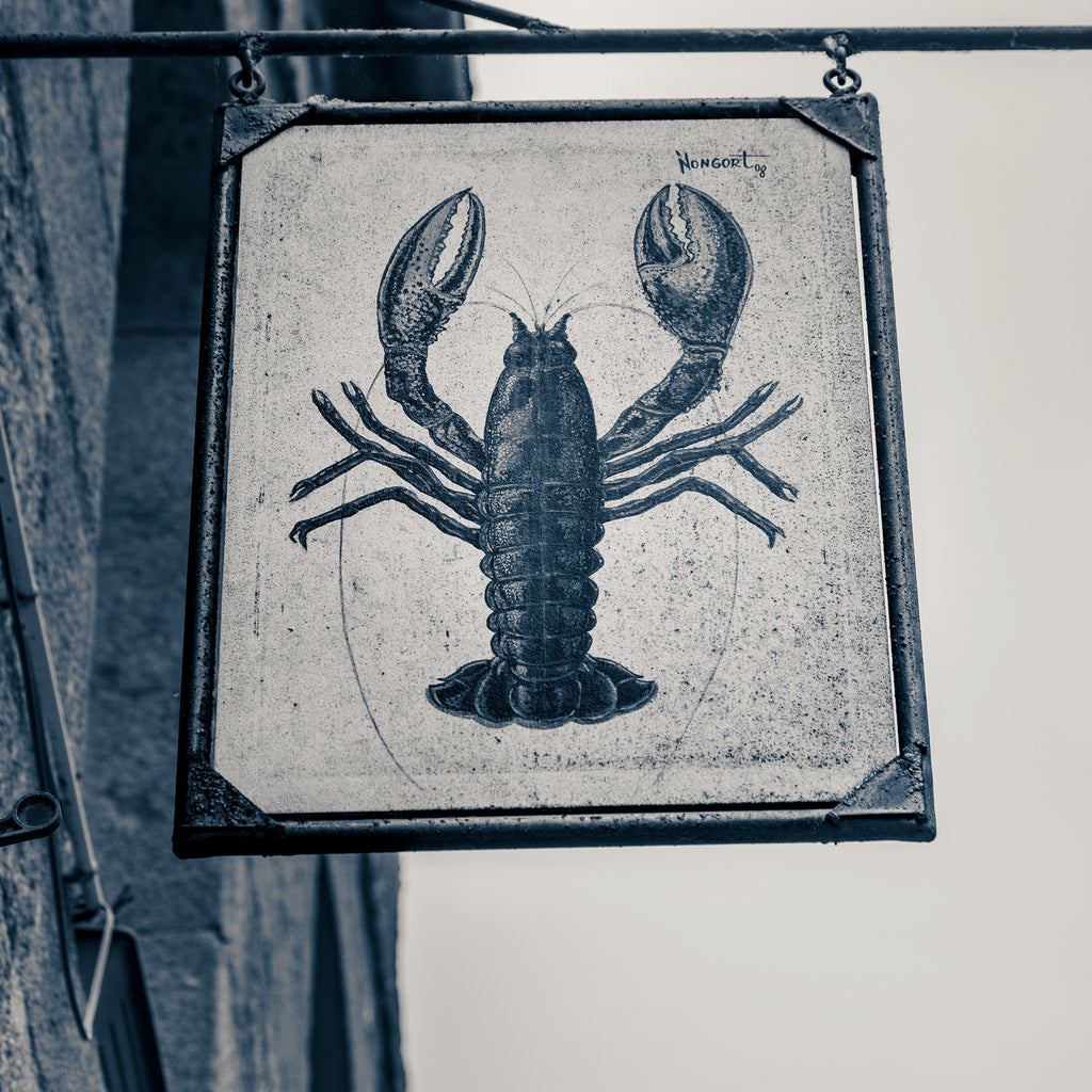 The Lobster, Treguiér