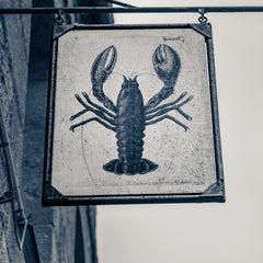 The Lobster, Treguiér