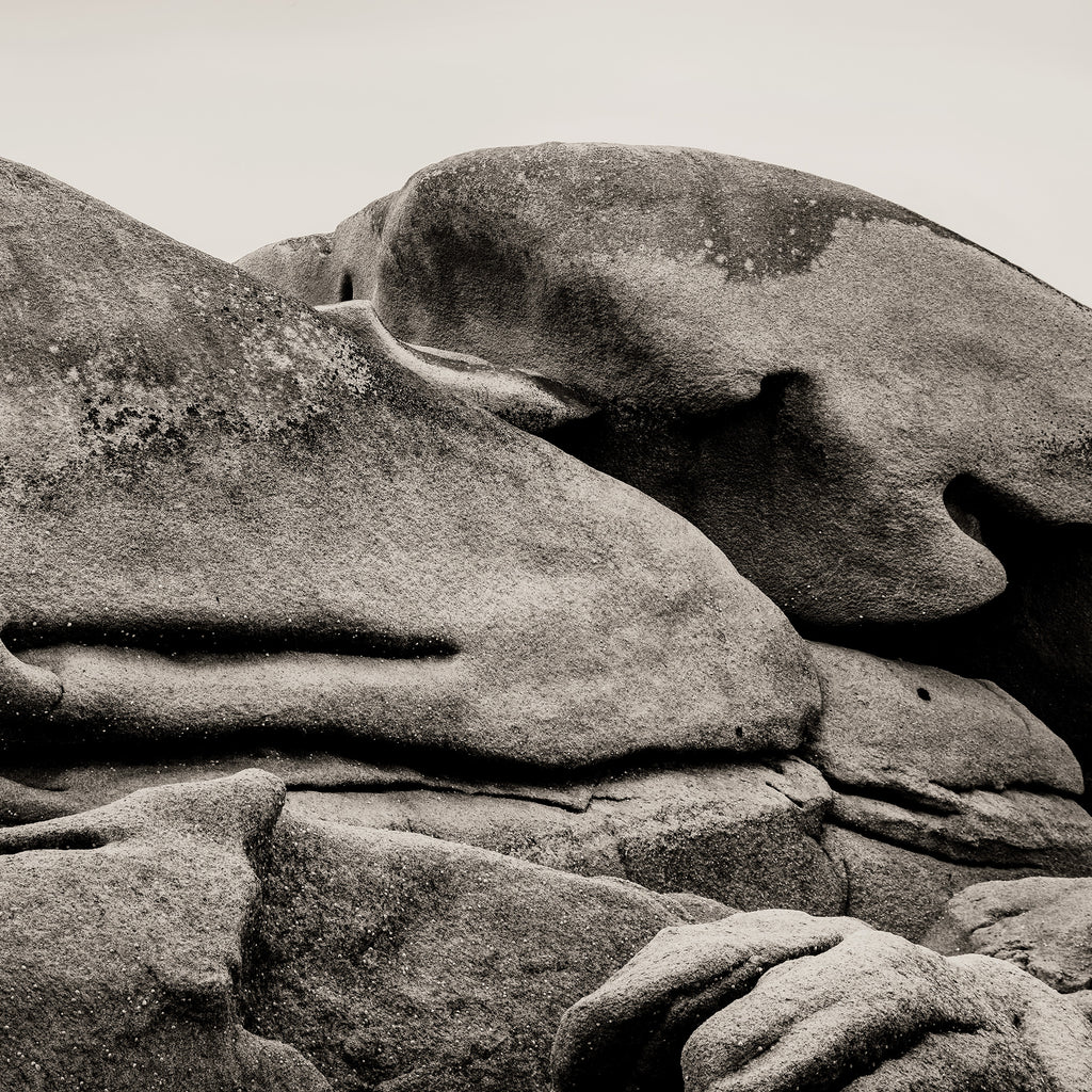 The Shark, Perros-Guirec