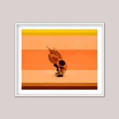 Coral & Bone II