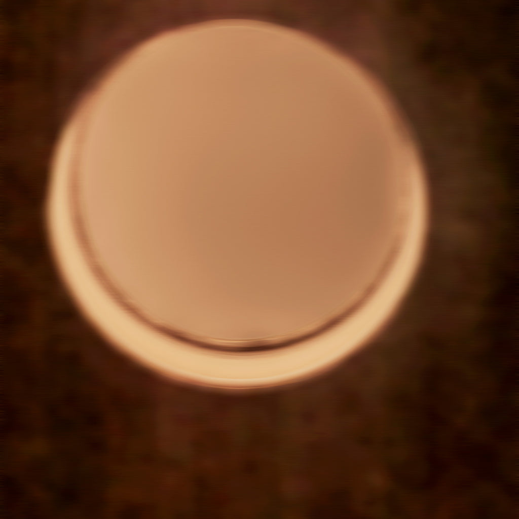 The Portal