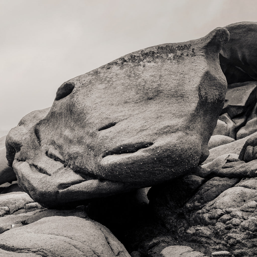 Perros-Guirec, Panorama II (BW)