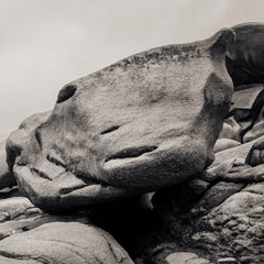 Perros-Guirec, Panorama II (BW)