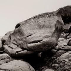 Perros-Guirec, Panorama (BW)