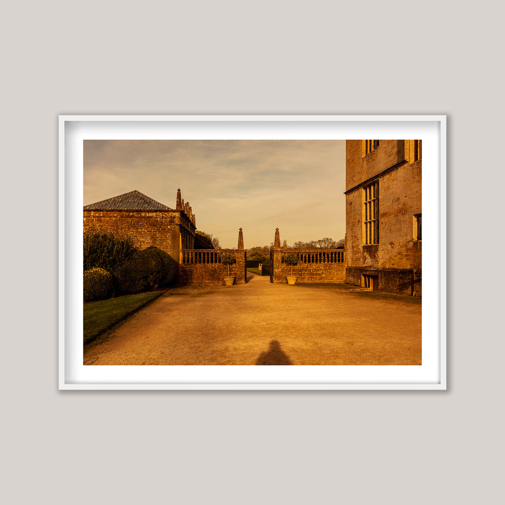 Montacute Shadow