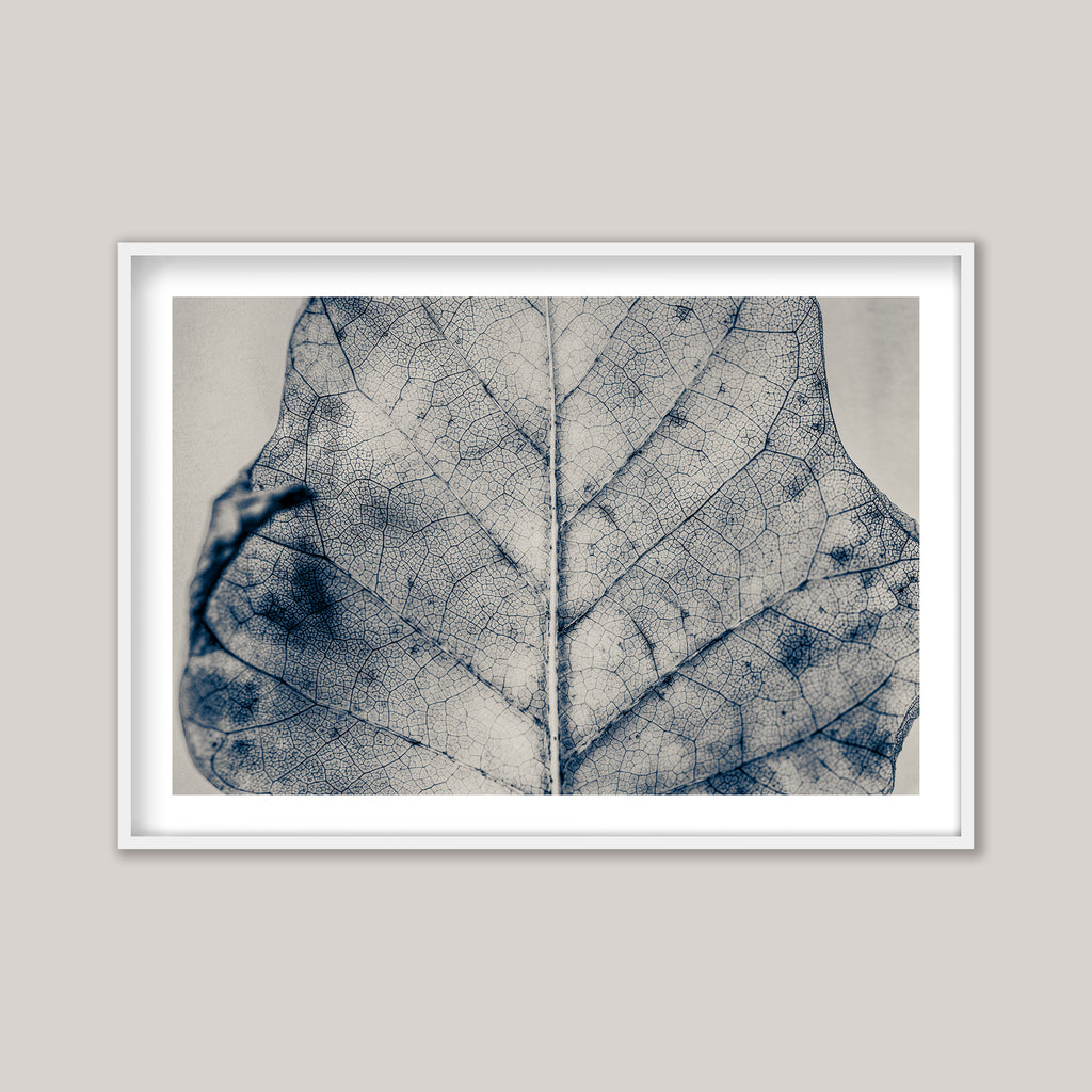 The Vein of Truth