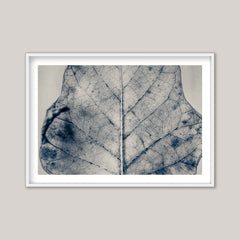 The Vein of Truth