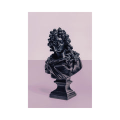Louis XIV - Pink