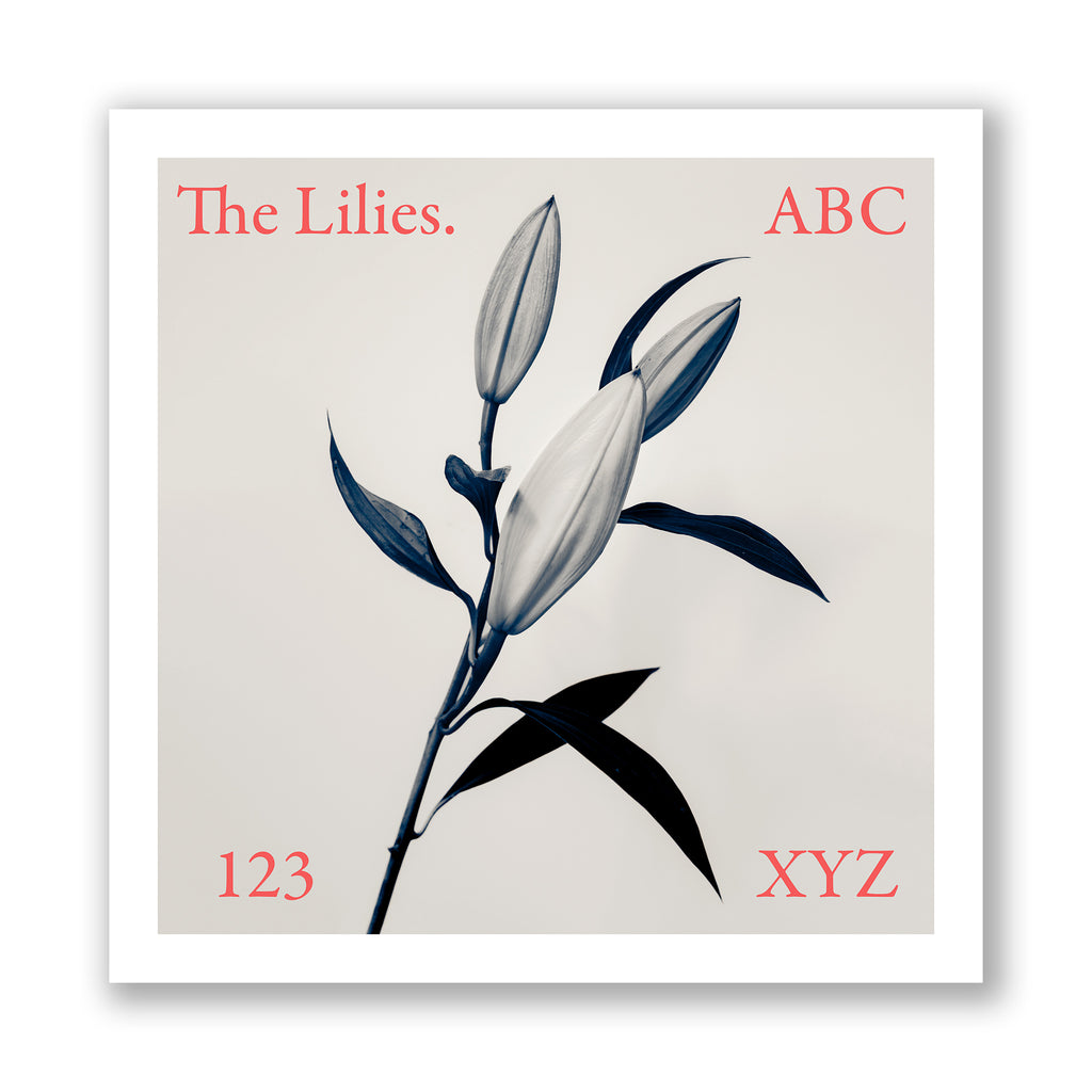 The Lilies. ABC