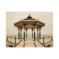 The Birdcage II