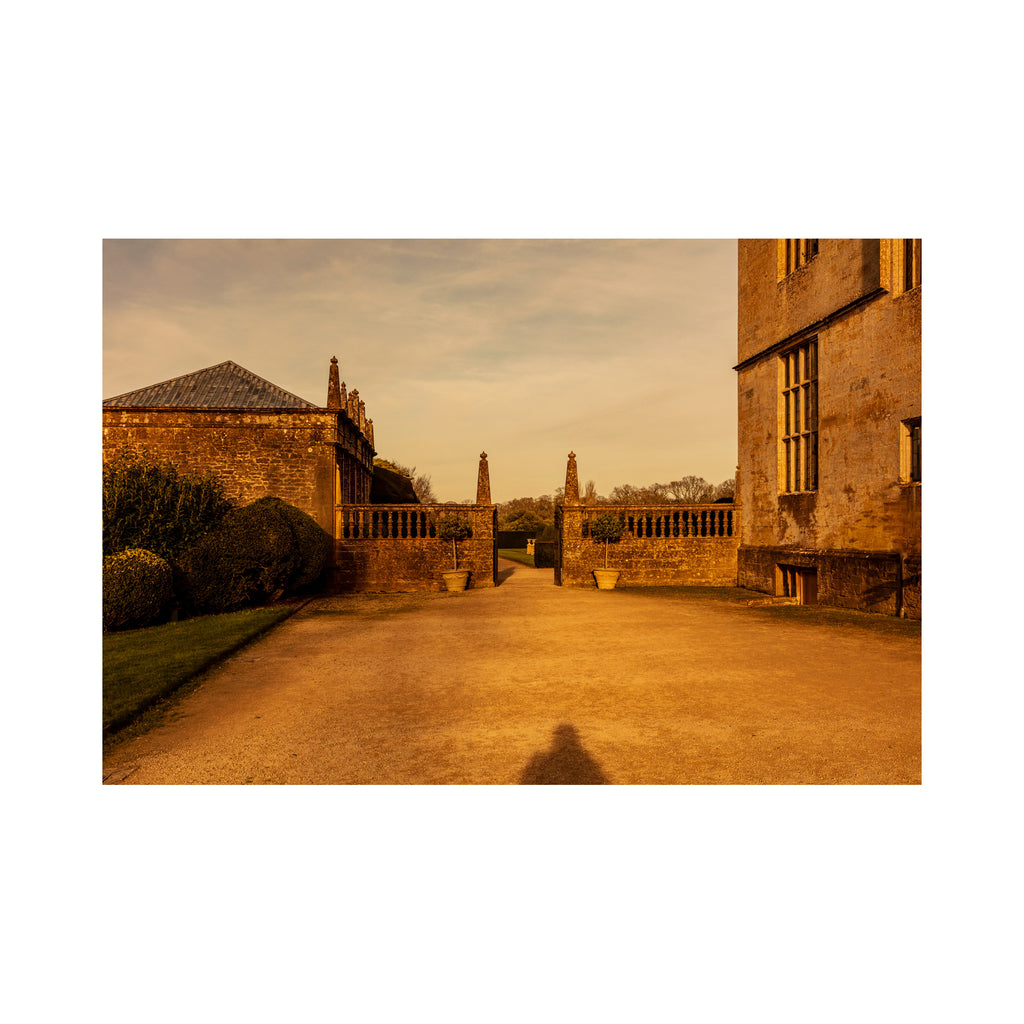 Montacute Shadow