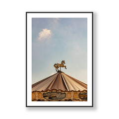 The Carousel