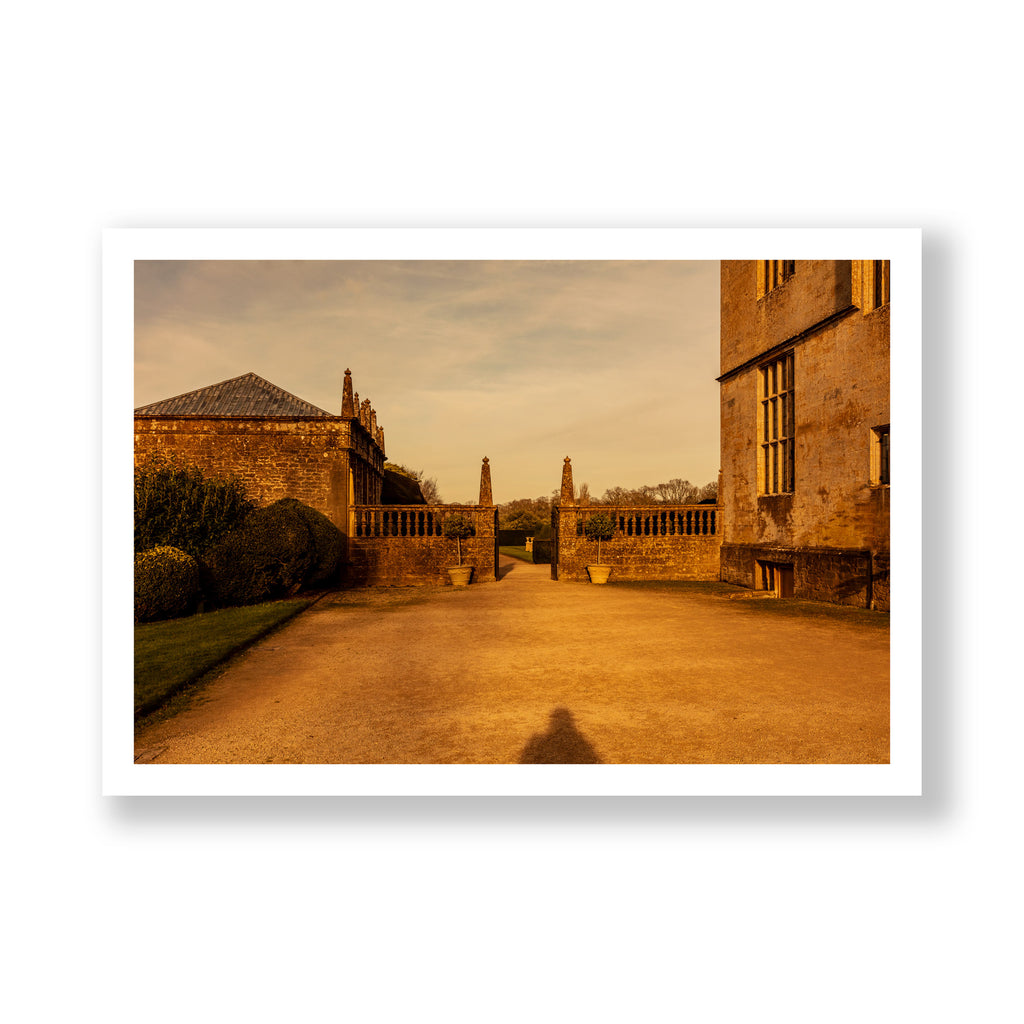 Montacute Shadow