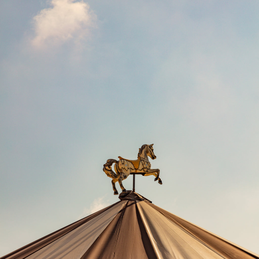 The Carousel