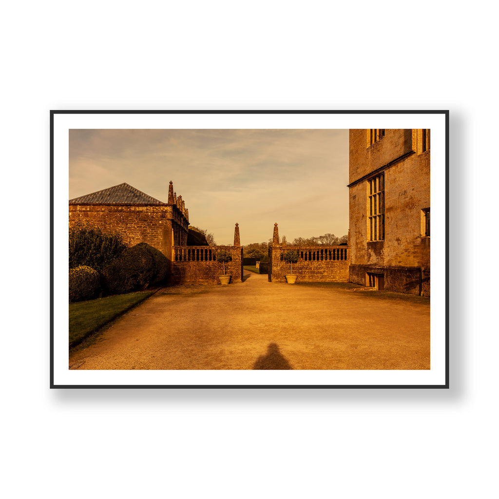 Montacute Shadow