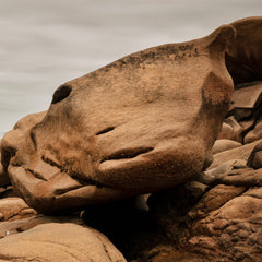 Perros-Guirec, Panorama