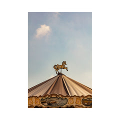 The Carousel