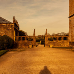 Montacute Shadow