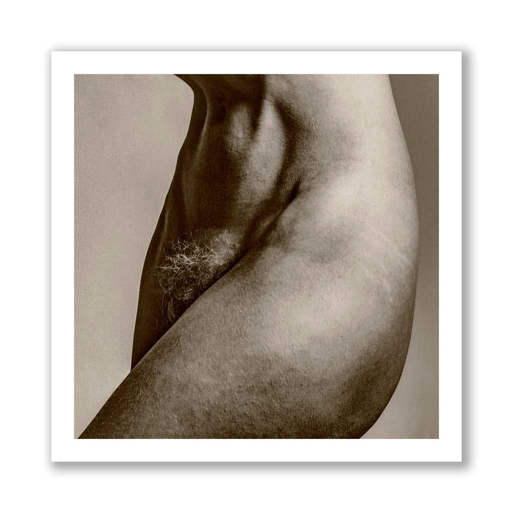 Porcelain XLIV - IV