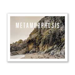 The Metamorphosis