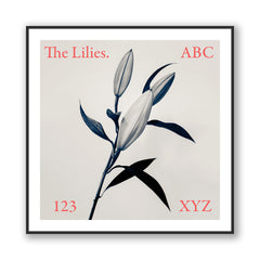 The Lilies. ABC