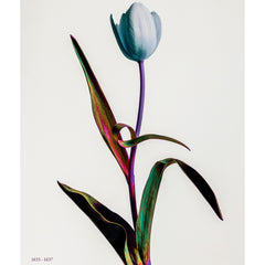 Tulip Mania - Poster
