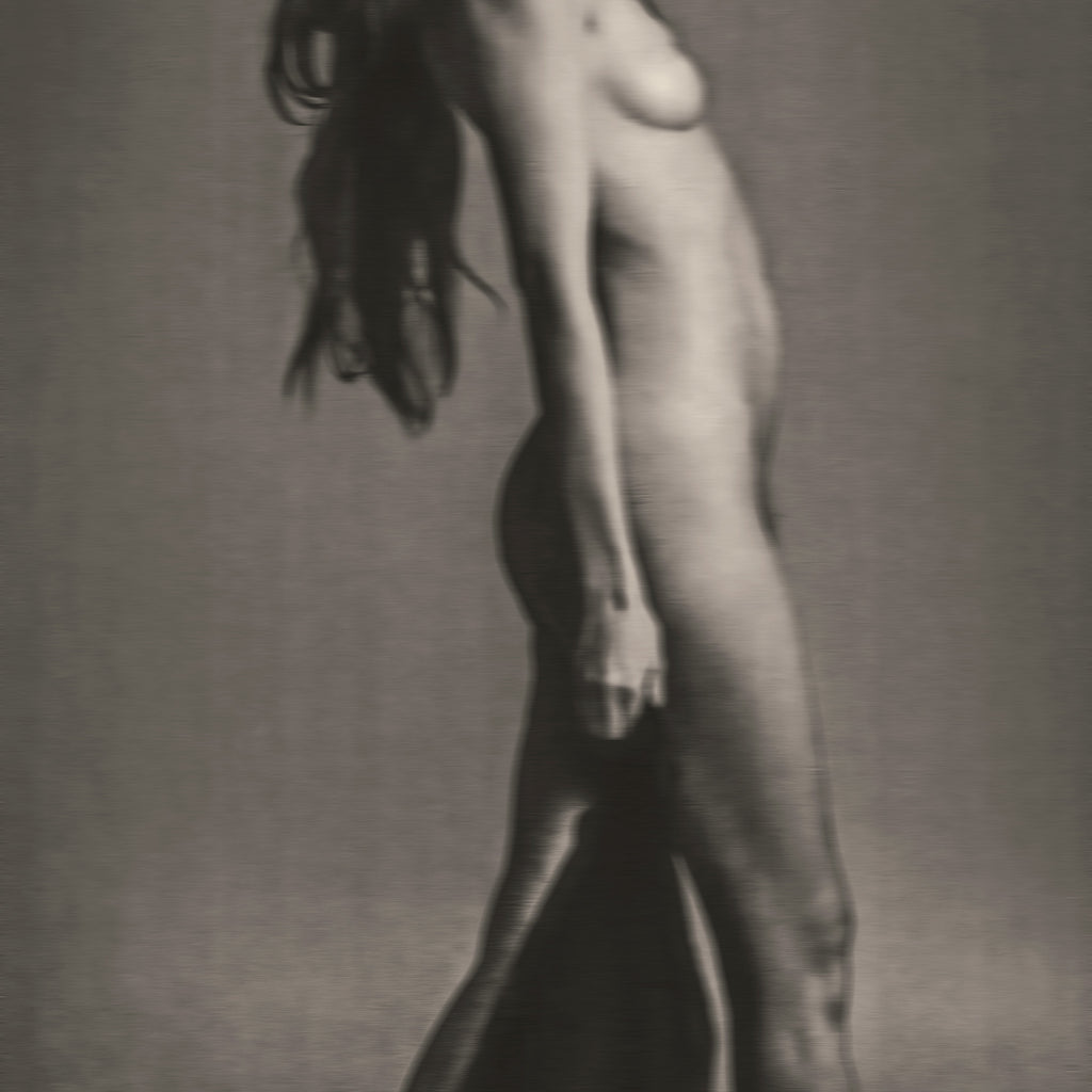Porcelain VIII