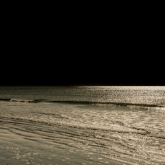 The American Night II
