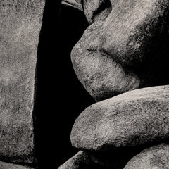 The Giant