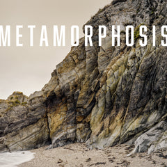 The Metamorphosis
