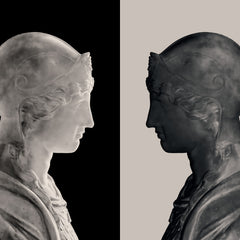 The Mirror and the Shadow