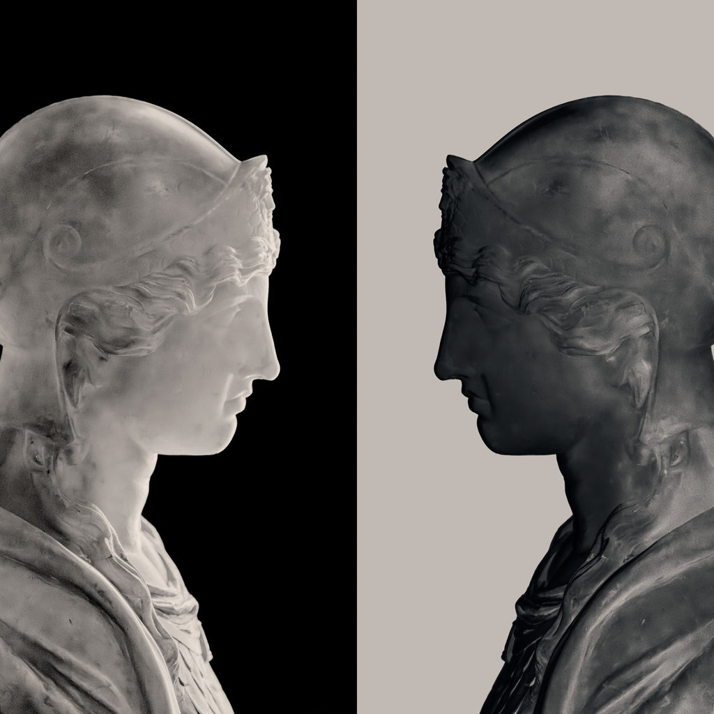 The Mirror and the Shadow