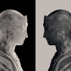 The Mirror and the Shadow