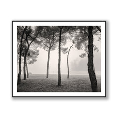 The Gardens of Remembrance, Venice