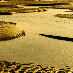 Wittering Gold V